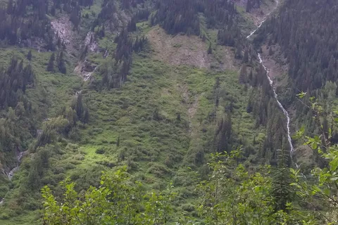 Loop Brook Campground - Glacier National Park