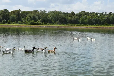 Stonebridge RV Park and Resort