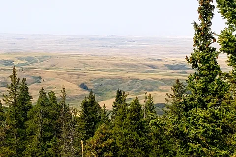 Beaver Creek - Cypress Hills Interprovincial Park - Alberta
