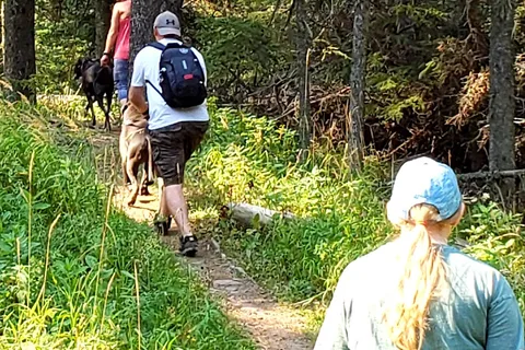Beaver Creek - Cypress Hills Interprovincial Park - Alberta