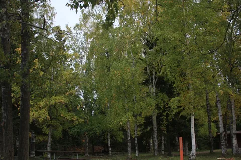 Delta State Recreation Site