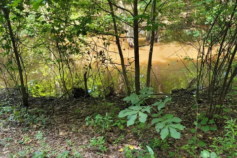 Davidsonville Historic State Park
