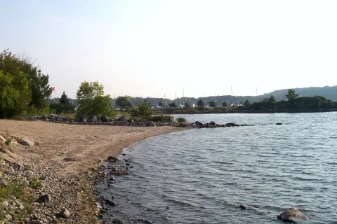 Bayfort Camp