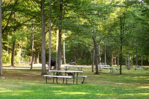 Bayfort Camp