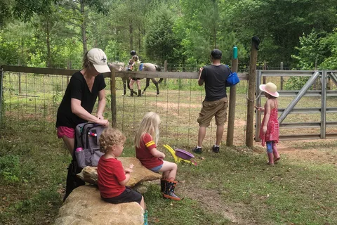 Happy Trails Homestead