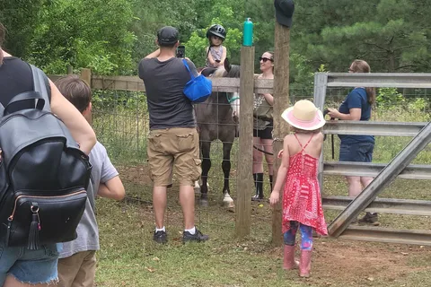 Happy Trails Homestead