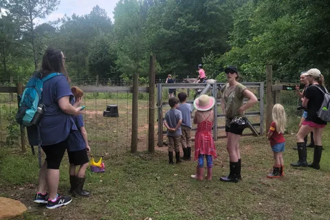 Happy Trails Homestead