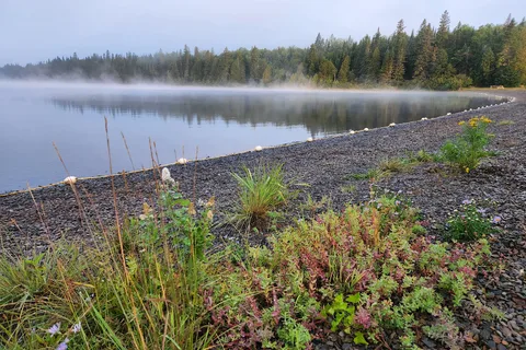 Armstrong Brook - Mount Carleton Provincial Park