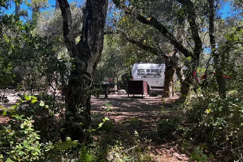 Henry Cowell Redwoods State Park Campground