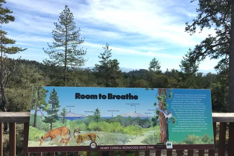 Henry Cowell Redwoods State Park Campground