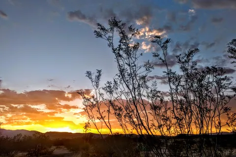 Dead Horse Ranch State Park