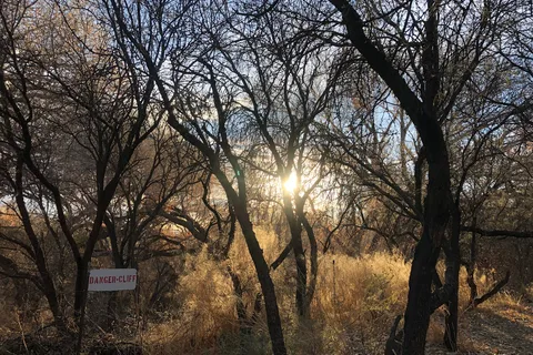 Dead Horse Ranch State Park