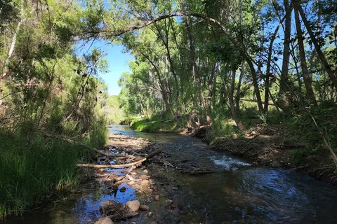 Dead Horse Ranch State Park