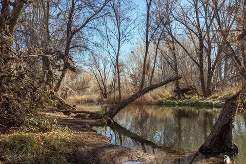 Dead Horse Ranch State Park