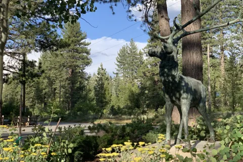 Coachland RV Resort
