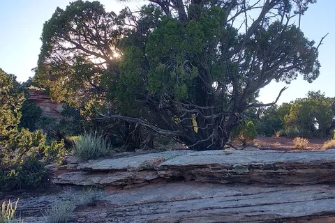 Saddlehorn Campground - Colorado National Monument