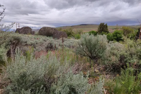 Bridgeport State Park Campground