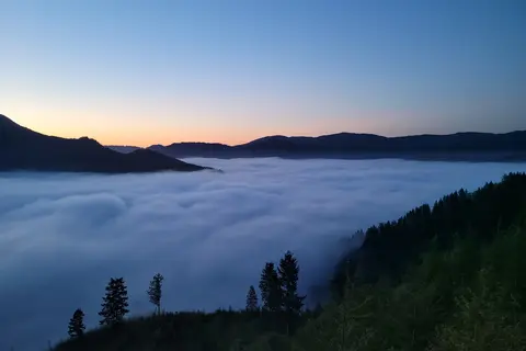 Tillamook State Forest - Diamond Mill