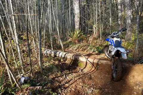Tillamook State Forest - Diamond Mill