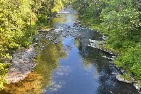 Tillamook State Forest - Diamond Mill
