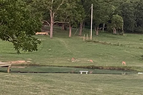 Mountain Top RV Park and Cabins