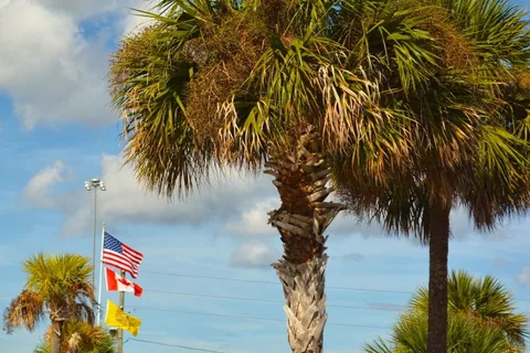Orlando Southwest KOA Holiday
