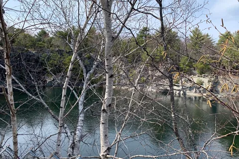 Somes Sound View Campground