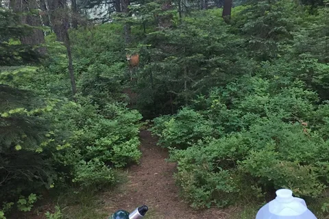 Northwest Passage - Ponderosa State Park