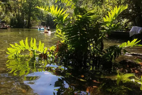 Chassahowitzka River Campground