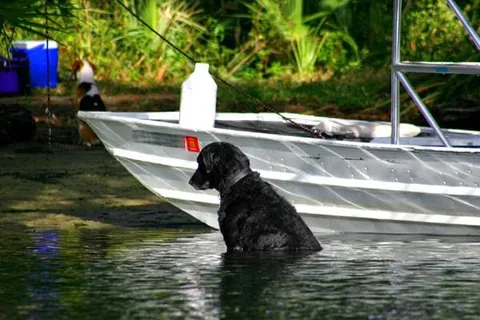 Chassahowitzka River Campground