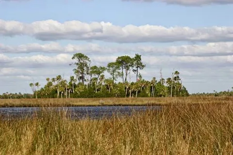 Chassahowitzka River Campground