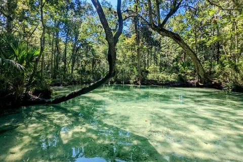 Chassahowitzka River Campground