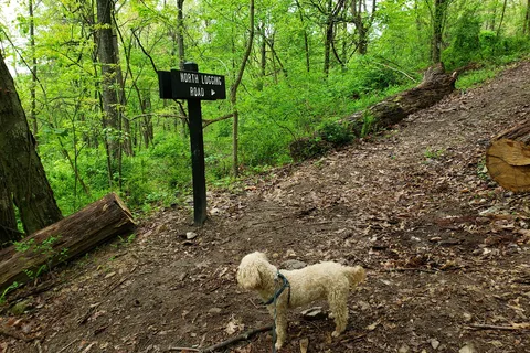 Area B - Cowans Gap State Park
