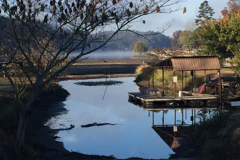 Young's Lakeshore RV Resort
