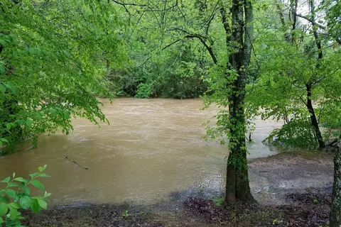 King's Holly Haven RV Park