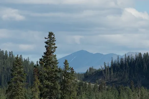 Robert Service Campground