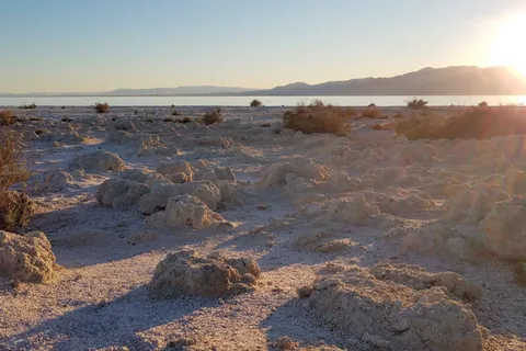 Corvina Beach - Salton Sea State Recreation Area