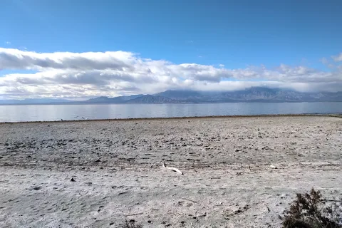 Corvina Beach - Salton Sea State Recreation Area