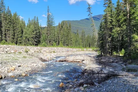 Hoodoo Creek - Yoho National Park