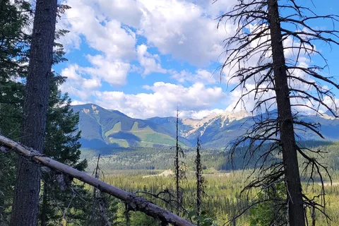 Hoodoo Creek - Yoho National Park