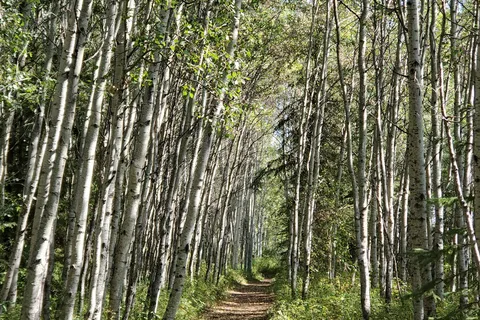 Rocky Mountain House National Historic Site Campground