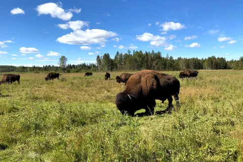 Rocky Mountain House National Historic Site Campground