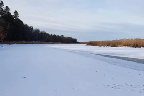 Schoolcraft State Park
