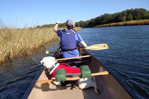Schoolcraft State Park
