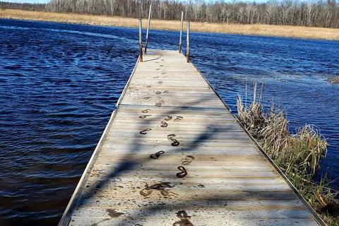 Schoolcraft State Park