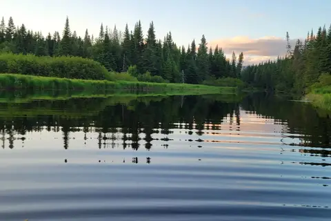 Ramblewood Cabins and Campground