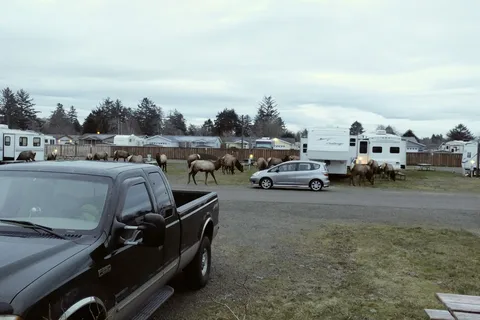 Kampers West Campground