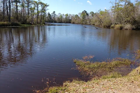 Calypso Cove RV Park