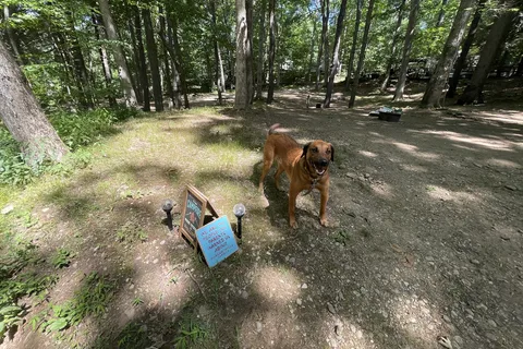 Riverdale Farm CampSites
