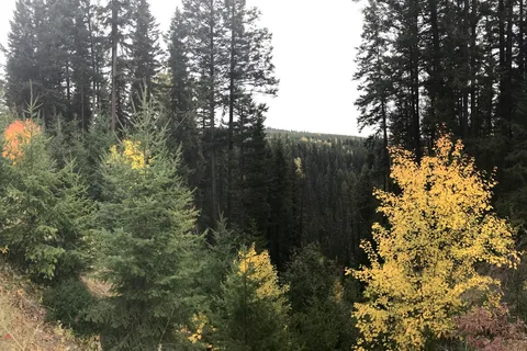 Postill Lake Lodge Ltd